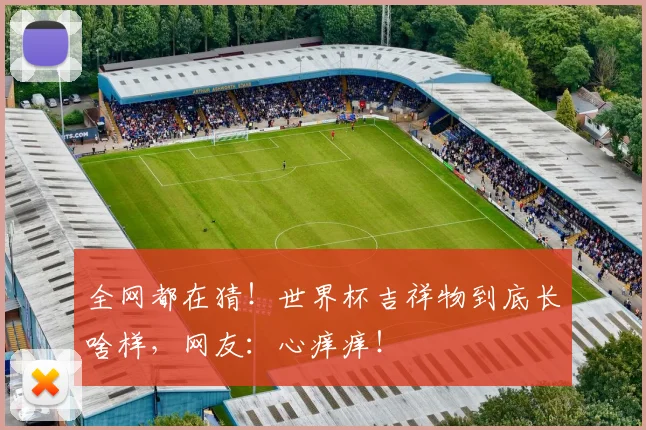 全网都在猜！世界杯吉祥物到底长啥样，网友：心痒痒！